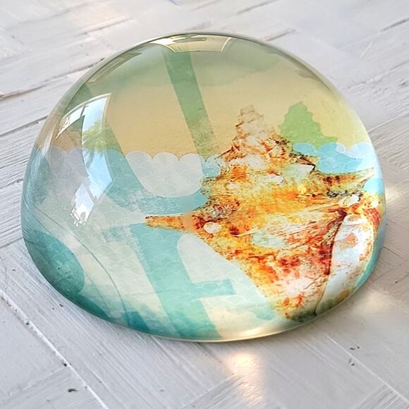 Seashell Ocean Paperweight Dome Glass Round No Chips or Cracks 4" - Picture 3 of 6